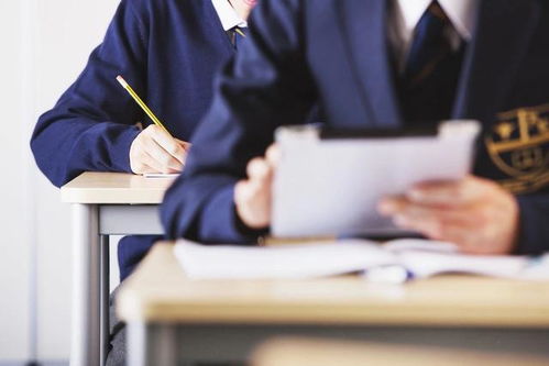 想知道自己是否被錄取？帶你一文讀懂考生電子檔案狀態