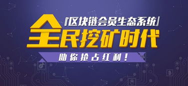 深圳開發'狼來了'靜態分紅模式軟件的費用構成與解析